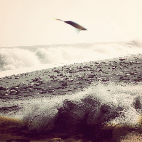 Serie en Edición limitada de / 5 / Master size