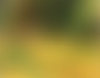 Wasserman.Drifting Apar…dslides Peruse. 2021.1:1 oil on panel. 11"x14".png