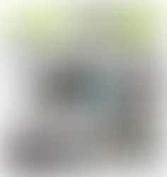 Palabras de presentación de la Directora de Ossaye Casa de Arte, OCA honrando al fenecido artista gu