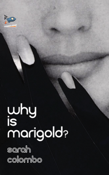 cover463407-medium.png