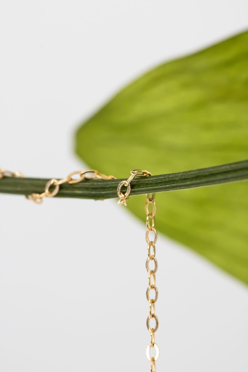 Thumbnail: 14 karat yellow gold chain
