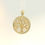 Thumbnail: 14 karat yellow gold large size tree of life charm with mother of pearl