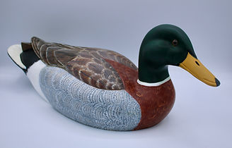 carved mallard duck decoy , life-size