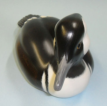 Large Hooded Merganser