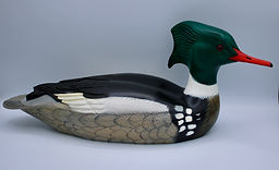 carved red breasted merhanser duck decoy