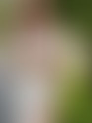 BOOK ESCORTS FOR A NIGHT 8130666806