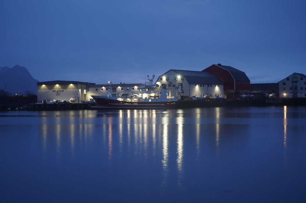 Long exposure night shot of a fishing harbour in Norway, with illuminated warehouses and boats reflecting light across calm blue water.