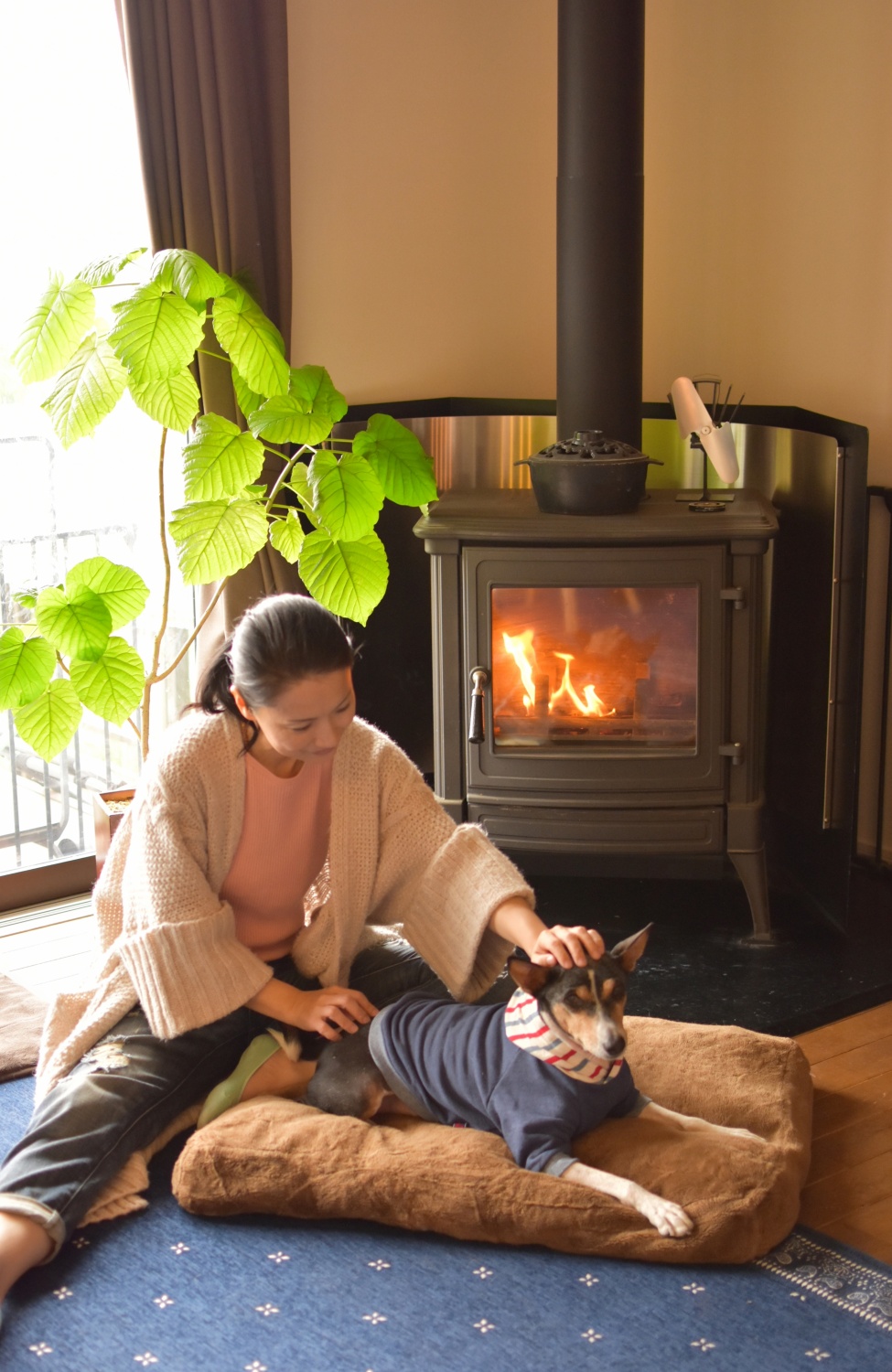 ポラリティlargo ドッグセラピー 神戸市北区 西宮山口 有馬温泉 名塩 宝塚 三田 ボディワーク エネルギーワーク ヘッドリリース