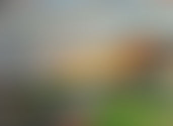 Last Rays At Foreland Point