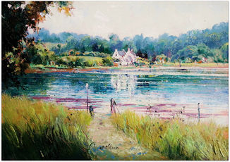 Calmness in the Creek!