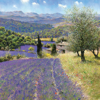 La Provence