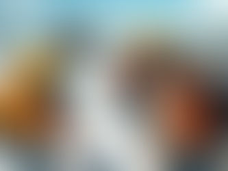 Why Choose Us: The Contractor’s Preferred Roofing Partner