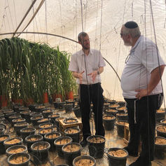 WhatsApp Image 2022-02-02 at 12.38.24(7).jpeg