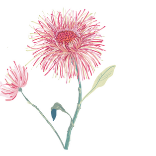 Tarjetas, notas, agradecimientos, invitaciones en papel fino