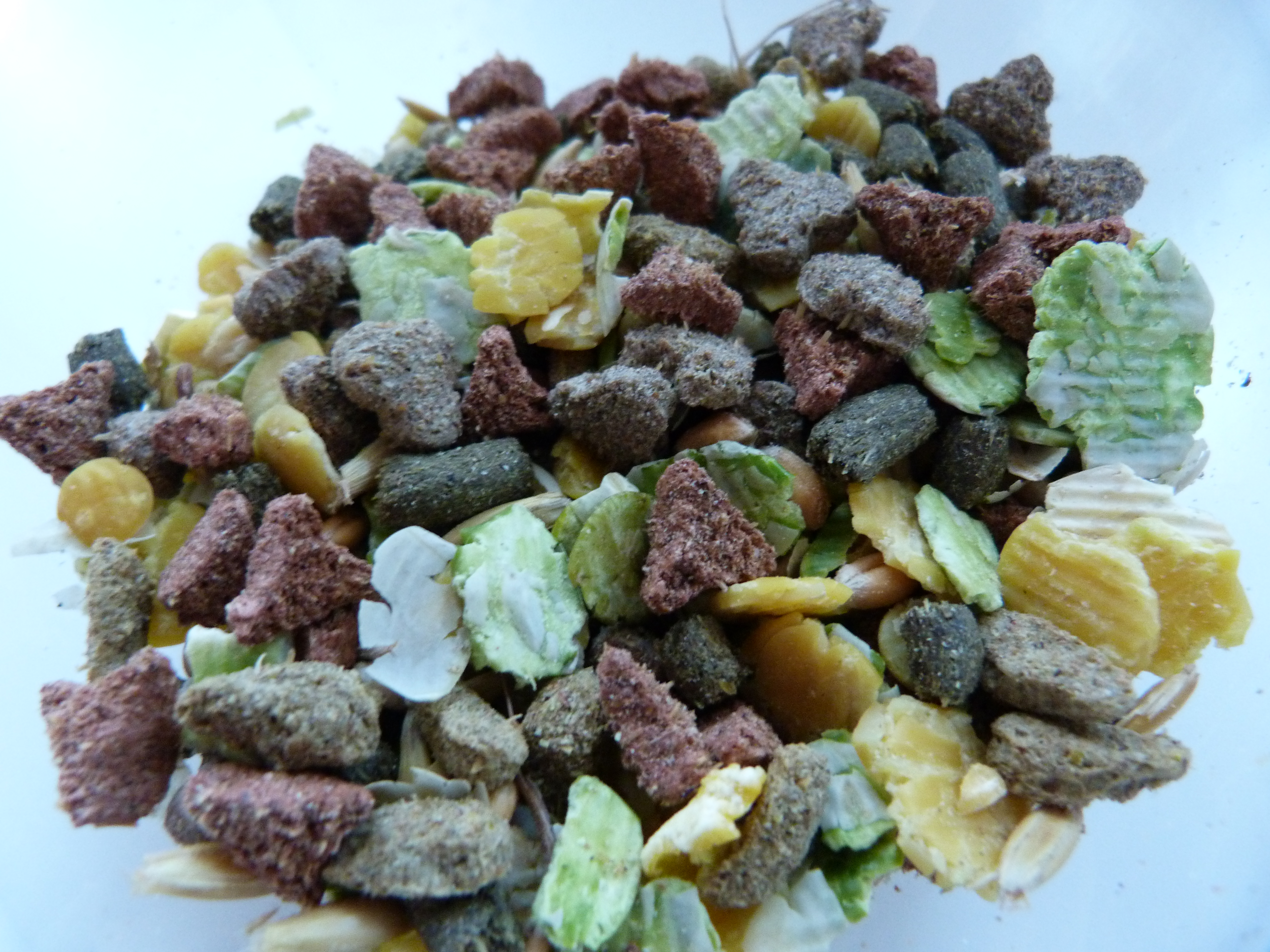 COMMERCIAL FOOD
