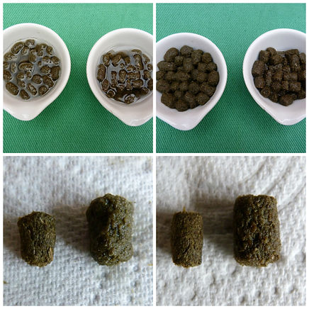 guinea pig pellets