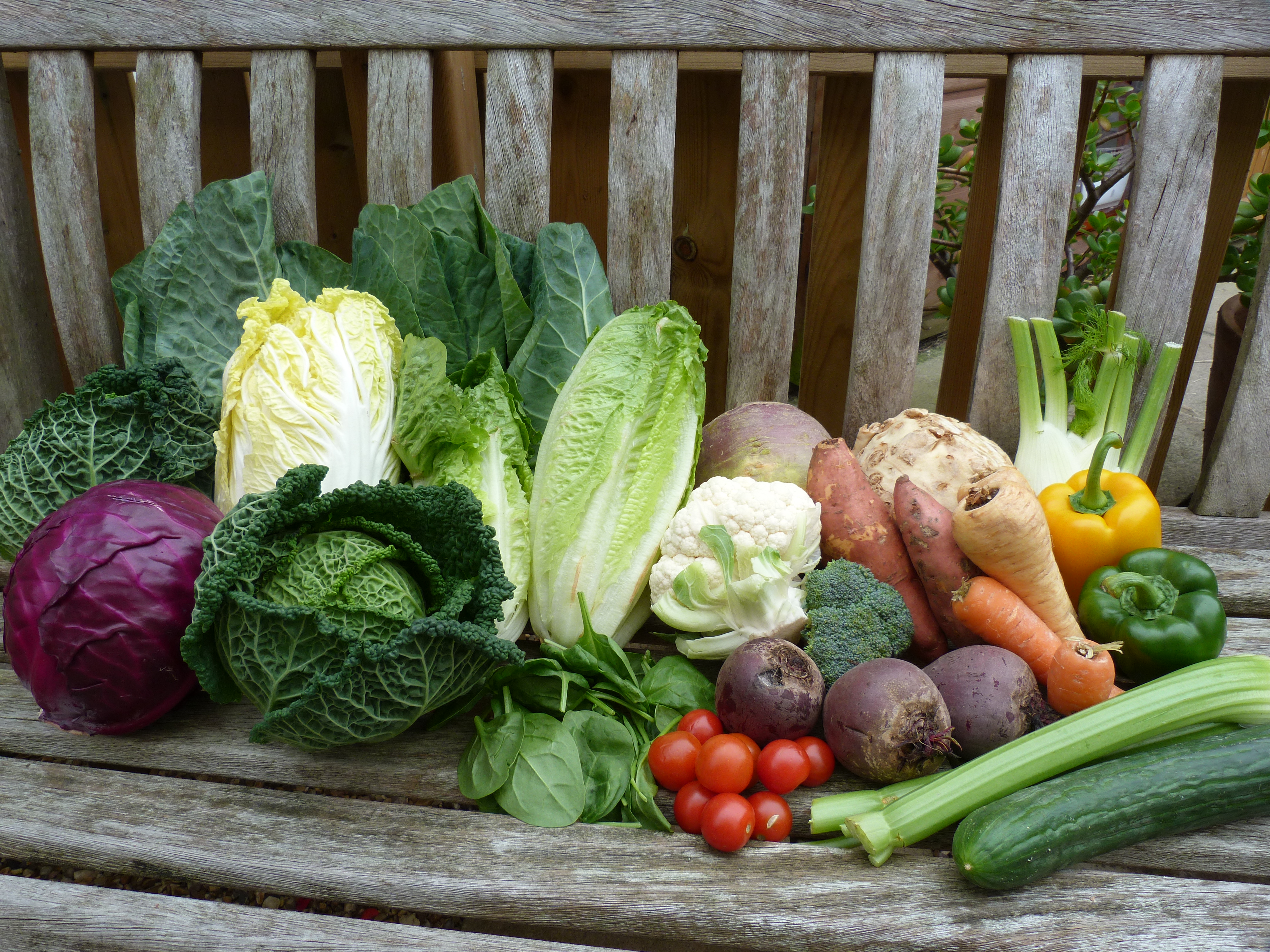 VEGETABLE LIST