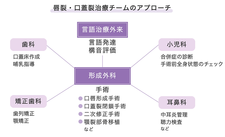 東京女子医科大学 形成外科 唇裂・口蓋裂治療チームのアプローチ