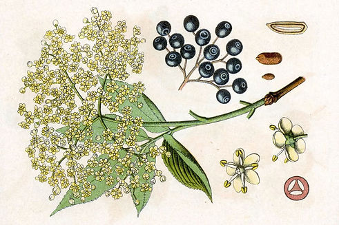 Image 4.jpeg