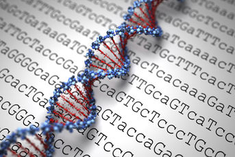 Potential Huntington's Disease Therapeutic Target Identified