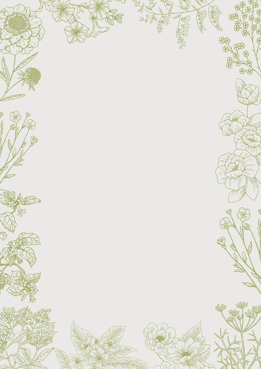 Moldura decorativa com ilustrações botânicas de ervas e flores.