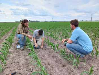 STAR Farmers Join Project To Determine How Soil Health May Increase Land Value