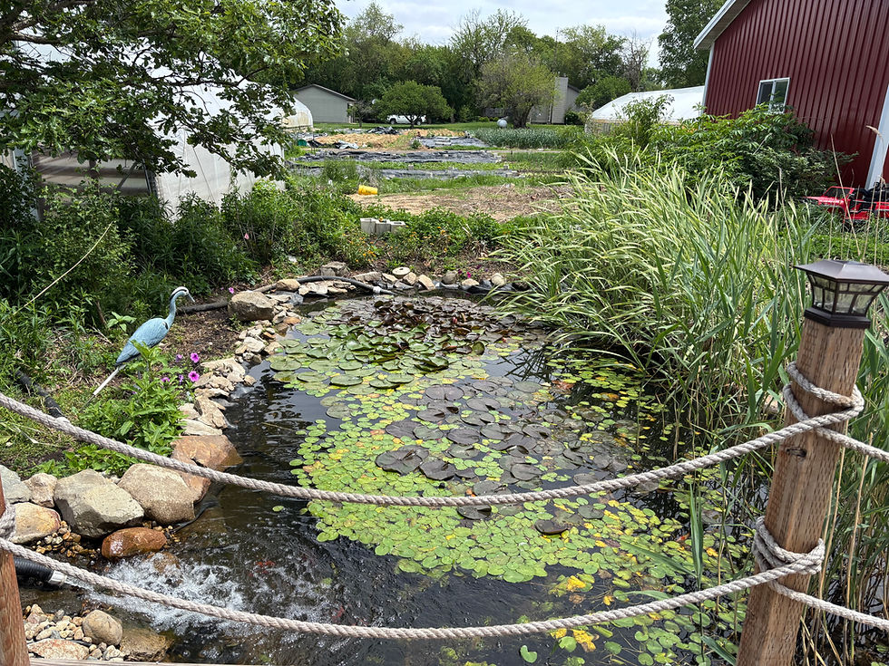 Everything is Built With Conservation in Mind at BloomingtonVegetable Farm