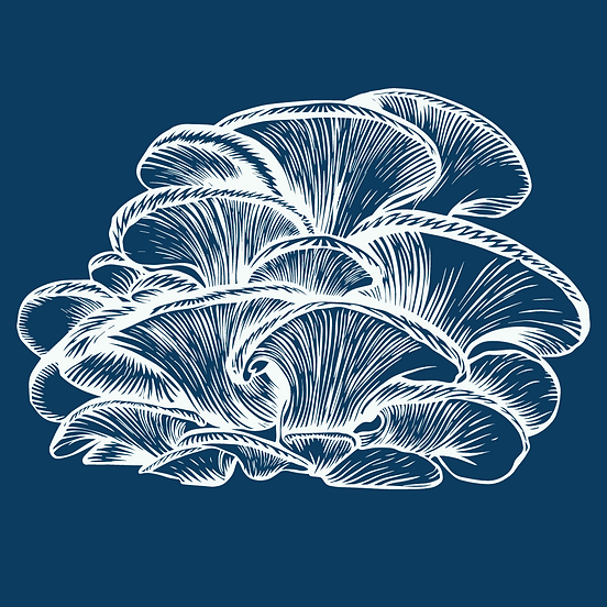 Dark blue background with a white illustration of a oyster mushrooms.