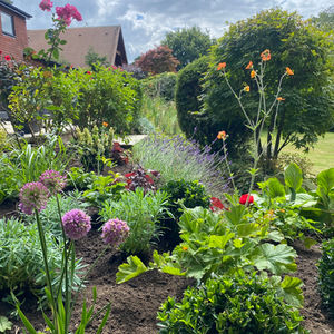 The Garden in the Forest