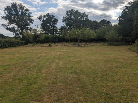 This shows the orchard area of the garden. At the moment, below the fruit trees there are lots of brambles, these will be removed and in the future we will begin to make this area more meadow-like.