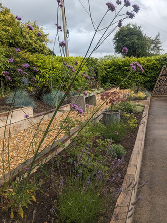 With the path graveled and the plants flourishing, I love how this border is looking, as does the client! We decided to opt for a bench rather than a sculpture, making a lovely space to sit and enjoy the borders.