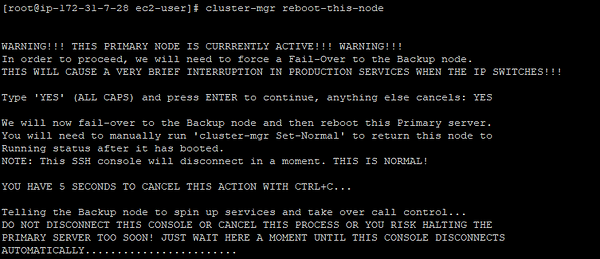 screenshot of cluster-mgr reboot-this-node