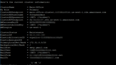 When it is finished, it will show the preliminary Cluster Status and return you to the prompt. You are now ready to repeat this process with the Backup Node.