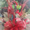 Miniatura: poncetia roja