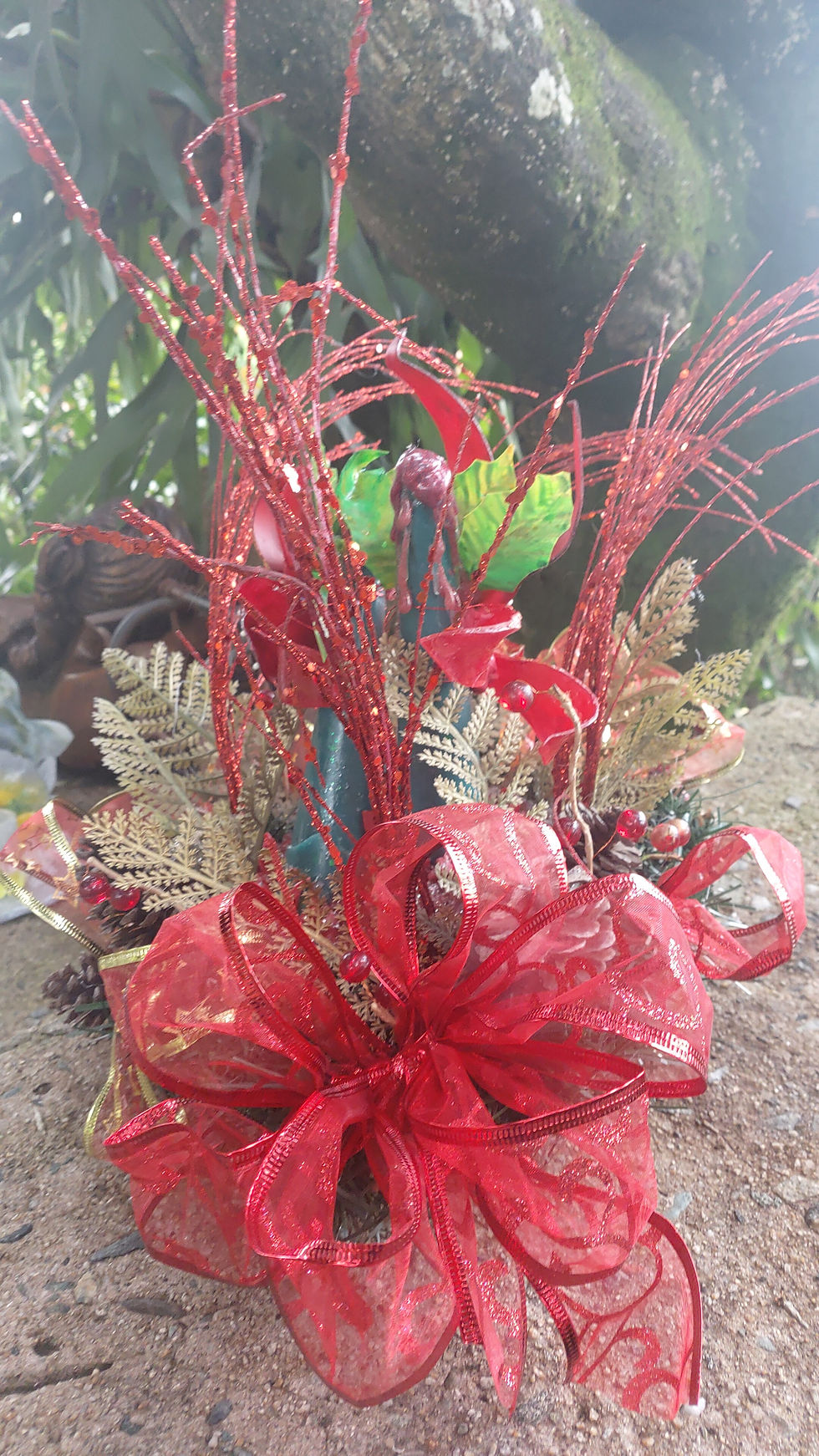 Miniatura: poncetia roja