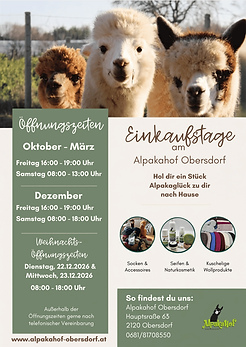 Verkaufstage Flyer A1 (594 x 841 mm) (2).png