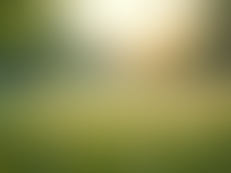 Why Self-Esteem Matters and How It Shapes Your Everyday Life