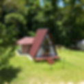 24CCABB0-98F6-4648-9EFD-A4EA2CF0796D.jpeg