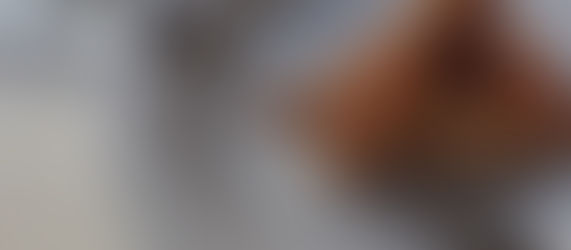 Quebra-Nozes | 10# Tarte de Maçã