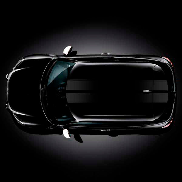 Líneas techo cerradas Countryman