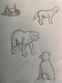 dog final sketch.jpeg