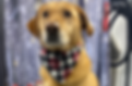 kaia.png