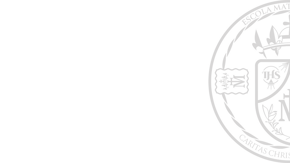 Brazão Mater Carmeli