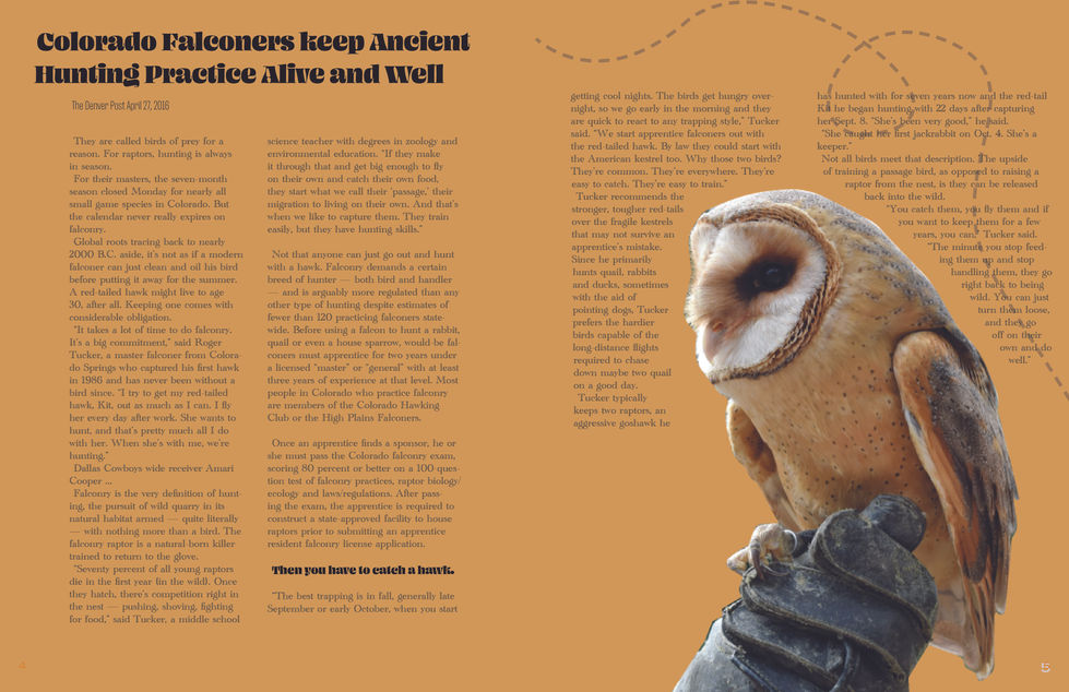 Colorado Falconry Pages3