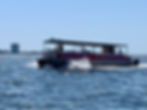Happy Hour Dolphin Cruises