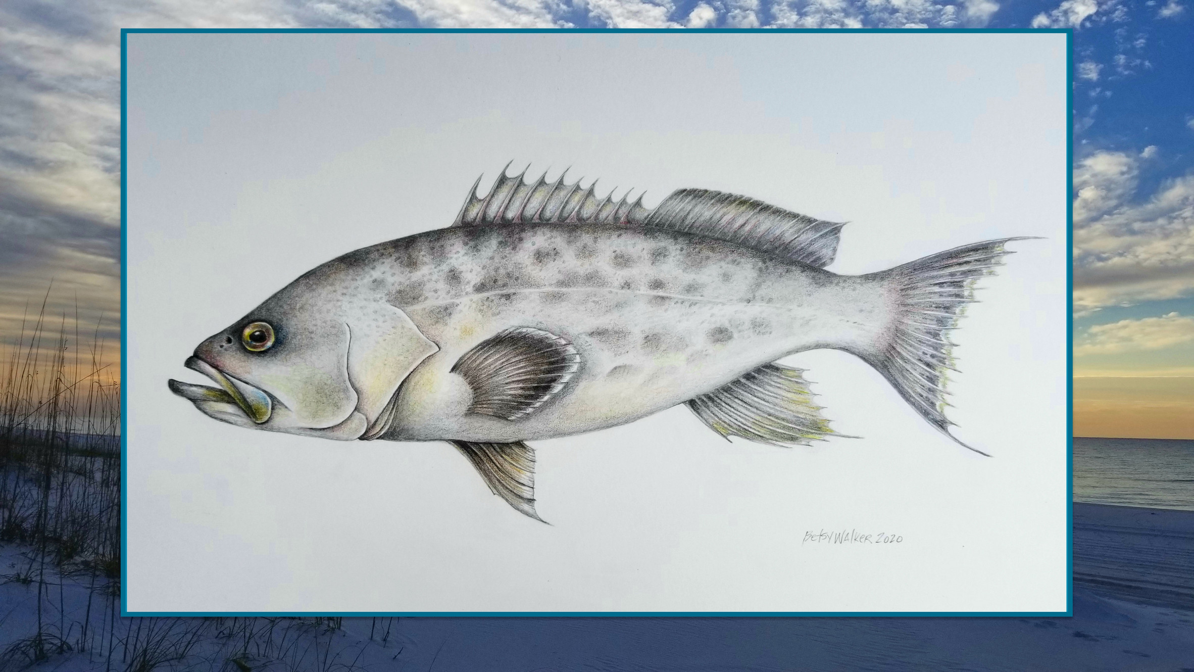 Deep Sea Fishing Pensacola Beach Marina Fishing Charters