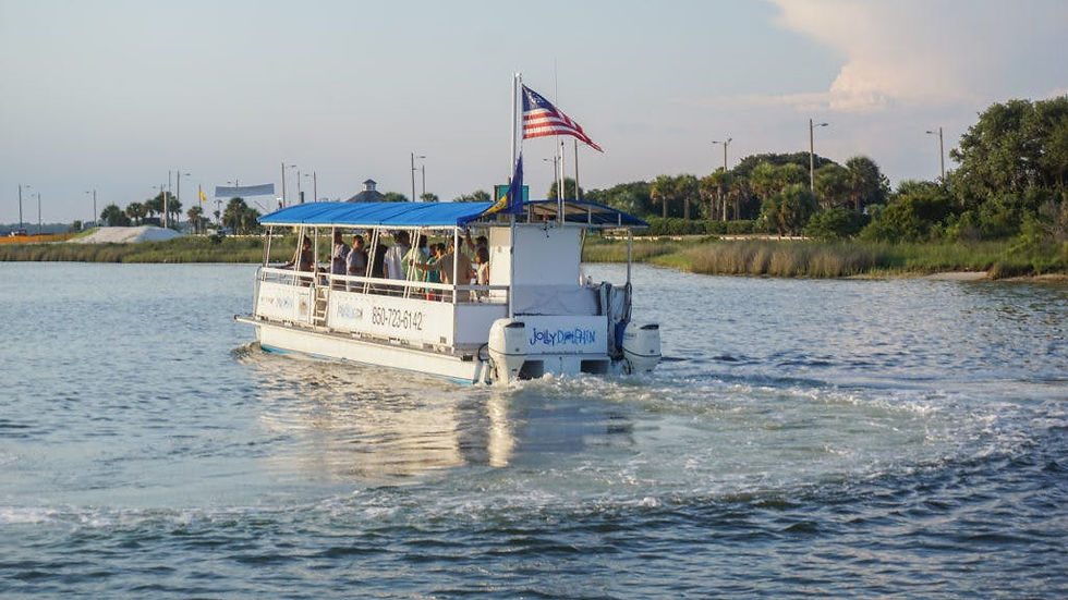 Jolly Dolphin Cruise