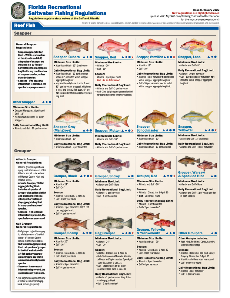 Florida State Water Fishing Regulations 2022