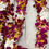 Thumbnail: Graduation Leis  - Double Orchid 