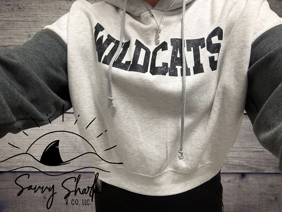 Thumbnail: Color Block Wildcats